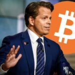 إشارة الثور من المحلل الشهير: هل حان وقت البيتكوين؟